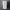 Vertical Paper Towel Holder | Heavy-Gauge Steel Shop Organizer - Bluegill Steel